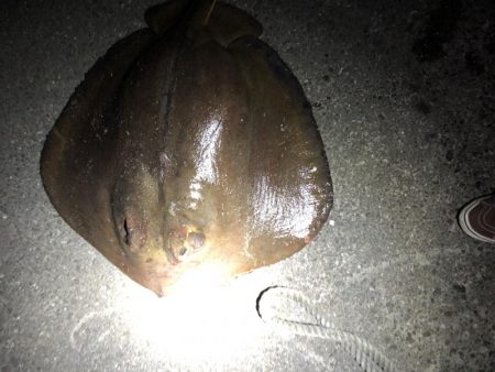 ごめん!勘弁してください