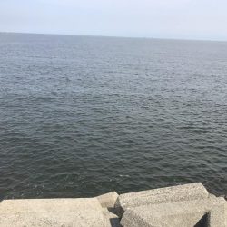 スーツバとの勝負