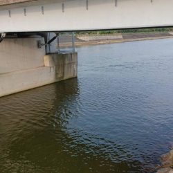 起死回生のシーバス 〜西宮浜