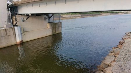 起死回生のシーバス 〜西宮浜