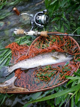放流魚が多かったけど、、、