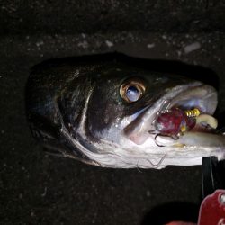 シーバスナイトゲーム