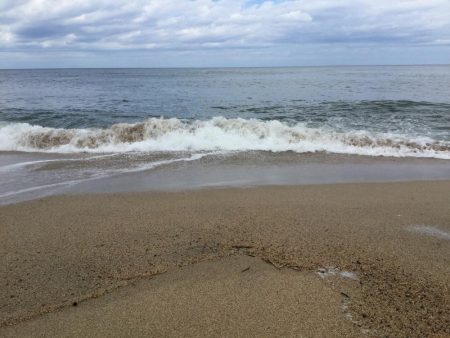 北条サーフマゴチ2連