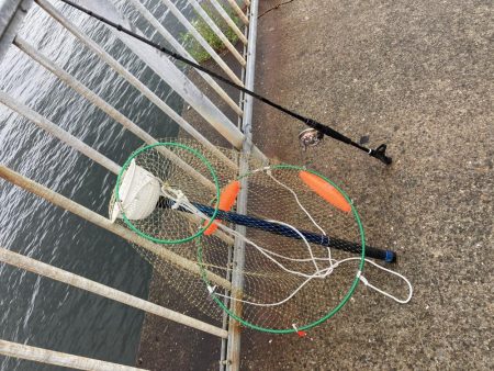 忠岡高場コッパグレヘチ釣り