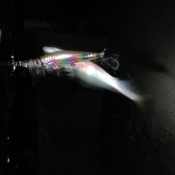 7/2 1日目チニング