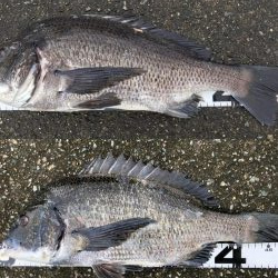 イチノ兄弟、釣果!