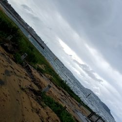 初の「年無し」