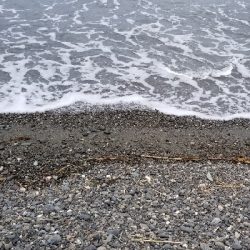 キス釣りからタチウオまで。好調!