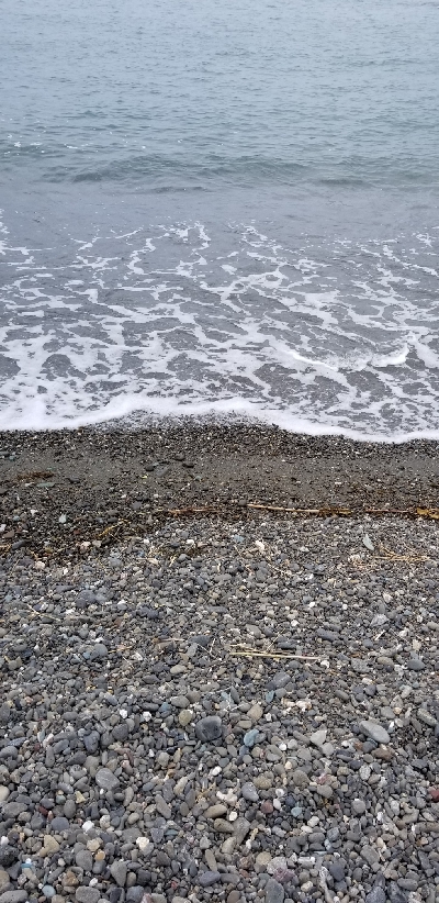 キス釣りからタチウオまで。好調!