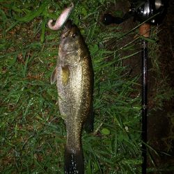 全開放流で湖流はや!