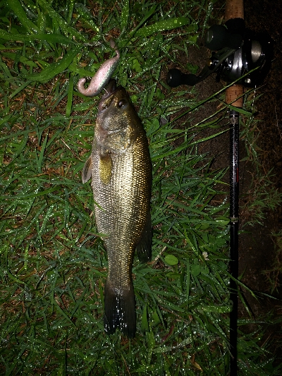 全開放流で湖流はや!