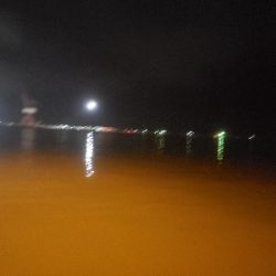 ナイトライトゲーム