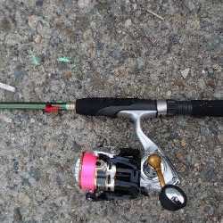 マイクロジグサビキ