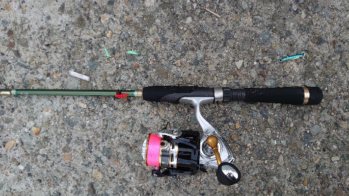 マイクロジグサビキ