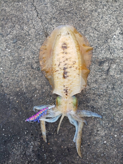 激濁りの後、、、