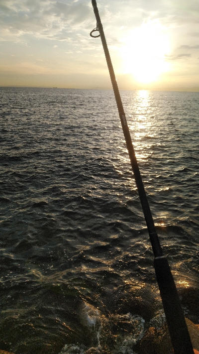 夕涼みフィッシング