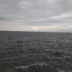 大雨後でも釣れてます