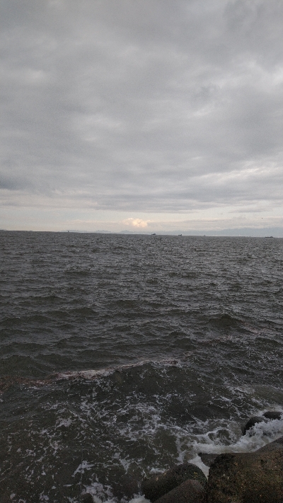 大雨後でも釣れてます