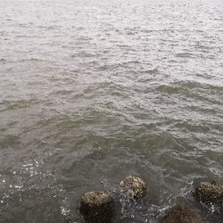 大荒れ後のオクトパッシング