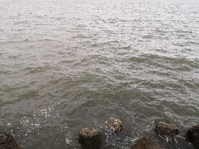 大荒れ後のオクトパッシング