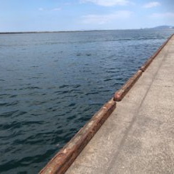 寄り道ライトショア