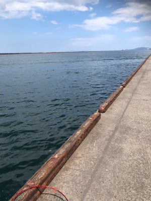 寄り道ライトショア