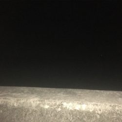 泳がせで雨の後のシーバス！