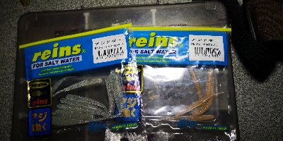 アジング練習 161