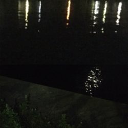 体高もあり、良く引く〜！