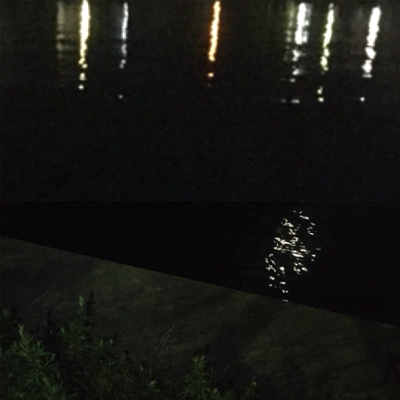 体高もあり、良く引く〜！