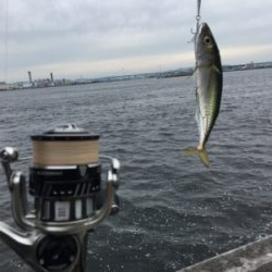 SSJ小サバ&タコ狩り新子ツヌケ