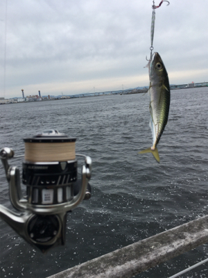 SSJ小サバ&タコ狩り新子ツヌケ