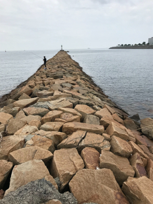 キス引き釣り(^^)