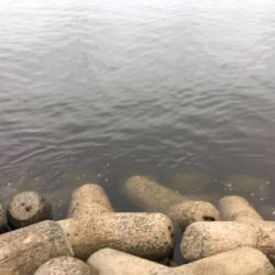 2020ライトゲーム第20戦