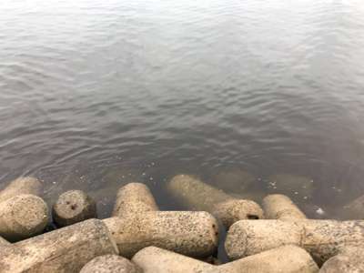 2020ライトゲーム第20戦