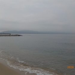 海水浴シーズンはじまる