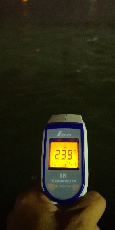 アジング練習 164