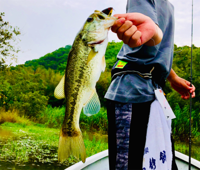 オーバーフローと低気圧
