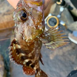 雨が降る前の釣行
