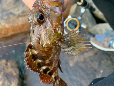 雨が降る前の釣行