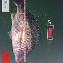 雨の止み間に…