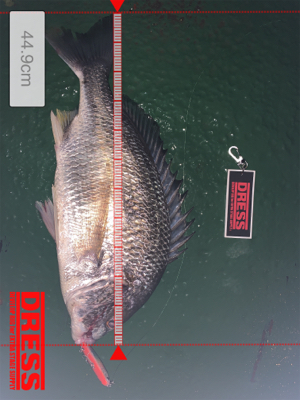 雨の止み間に…