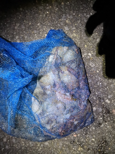 オクトパッシング前半後半