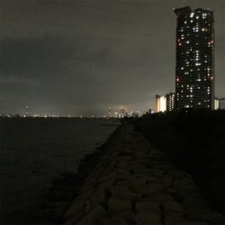 淀川ブリームゲーム つ抜け