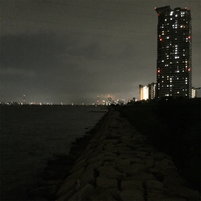 淀川ブリームゲーム つ抜け