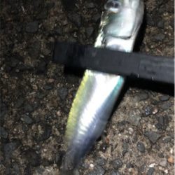 30センチupゲット