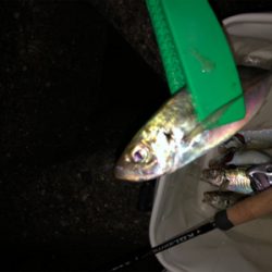 東からの爆風に耐えて