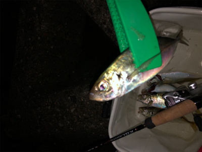 東からの爆風に耐えて