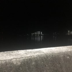 梅雨の晴れ間のストレス発散泳がせ!