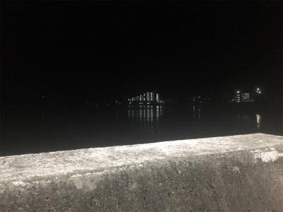 梅雨の晴れ間のストレス発散泳がせ!